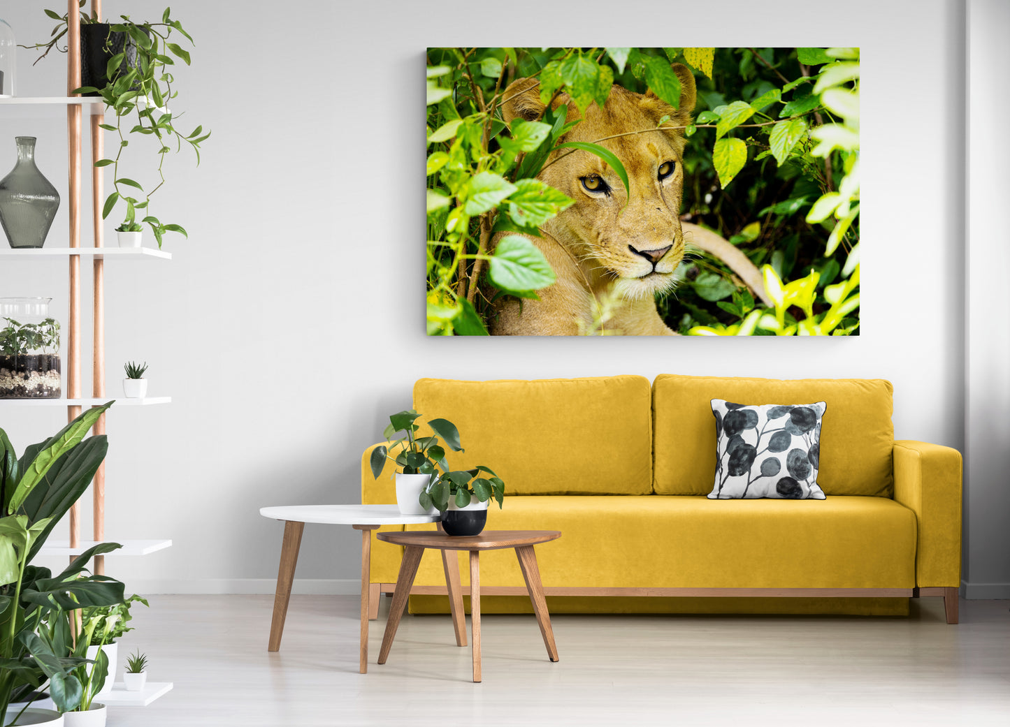 Printed canvas · High quality · Lioness · Wall art