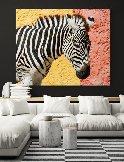 Printed canvas · High quality · Zebra · Wall art