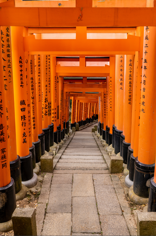 Vertical printed canvas · High quality · Tokyo streets · Wall art