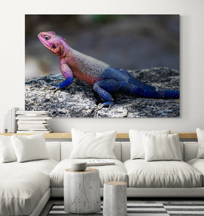 Printed canvas · High quality · Lizard · Wall art