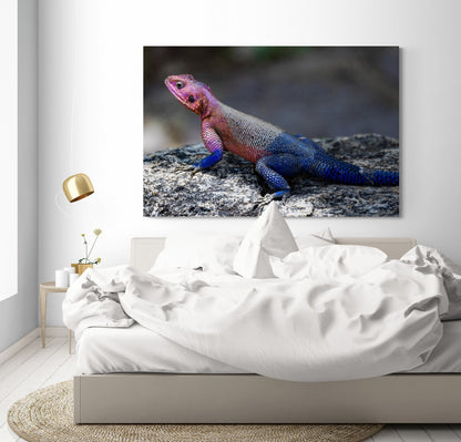 Printed canvas · High quality · Lizard · Wall art