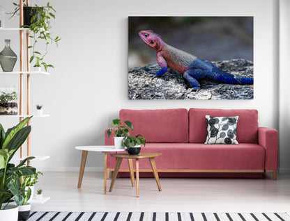 Printed canvas · High quality · Lizard · Wall art