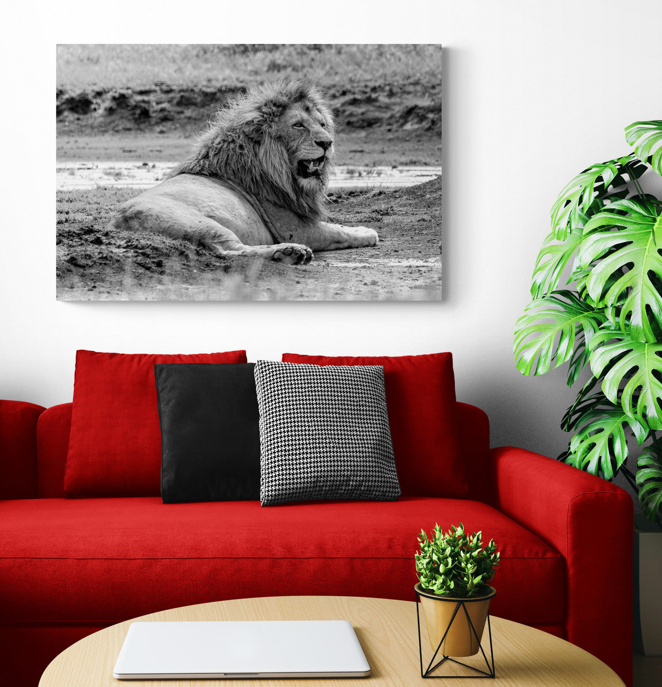 Printed canvas · High quality · Lion in the savannah · Wall art