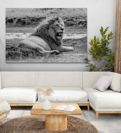 Printed canvas · High quality · Lion in the savannah · Wall art