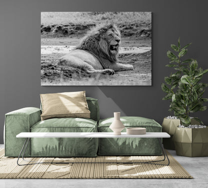 Printed canvas · High quality · Lion in the savannah · Wall art