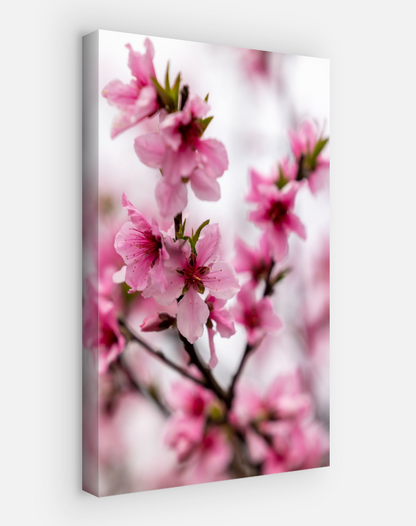 Vertical printed canvas · High quality · Japanese flowers · Wall art