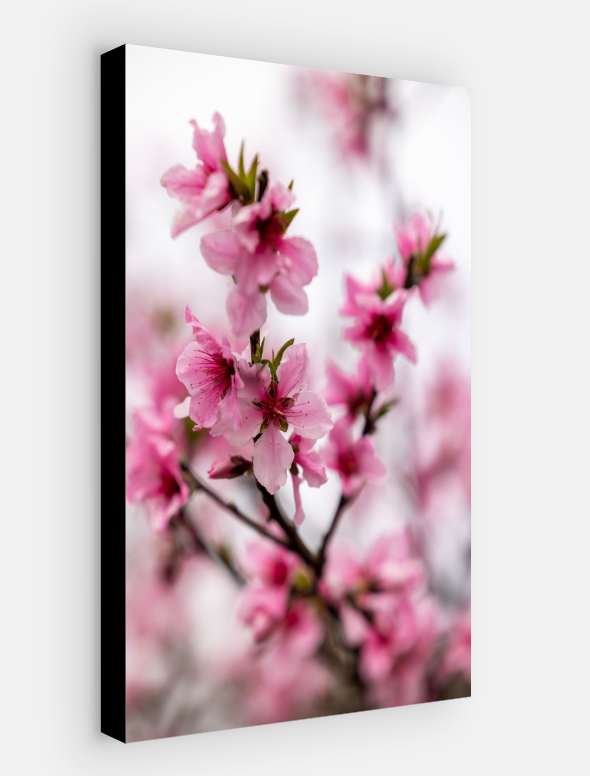 Vertical printed canvas · High quality · Japanese flowers · Wall art