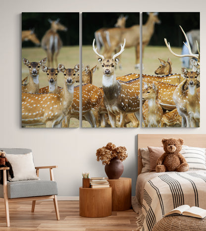 Printed canvas · High quality · Wild deer · Wall art