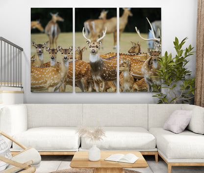 Printed canvas · High quality · Wild deer · Wall art