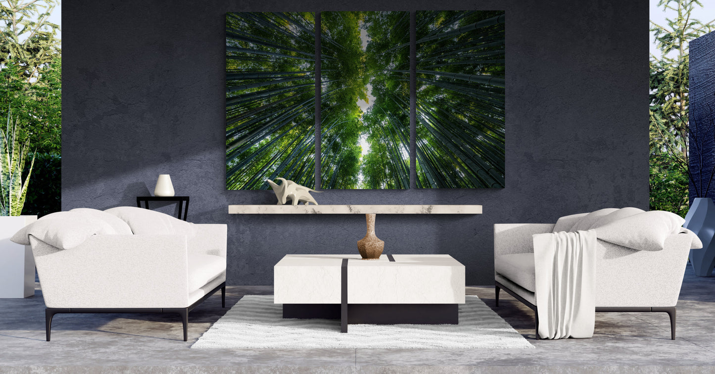 Printed canvas · High quality · Japan · Bamboos · Wall art