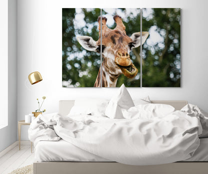 Printed canvas · High quality · Giraffe · Wall art