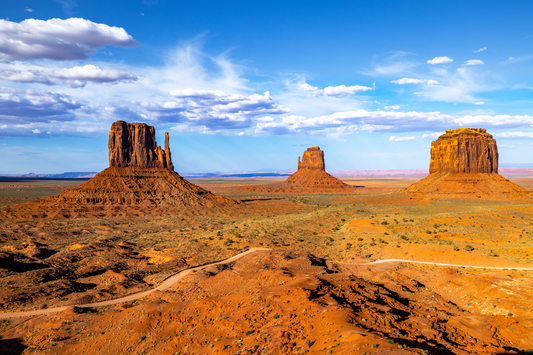 Printed canvas · High quality · Arizona desert · Wall art