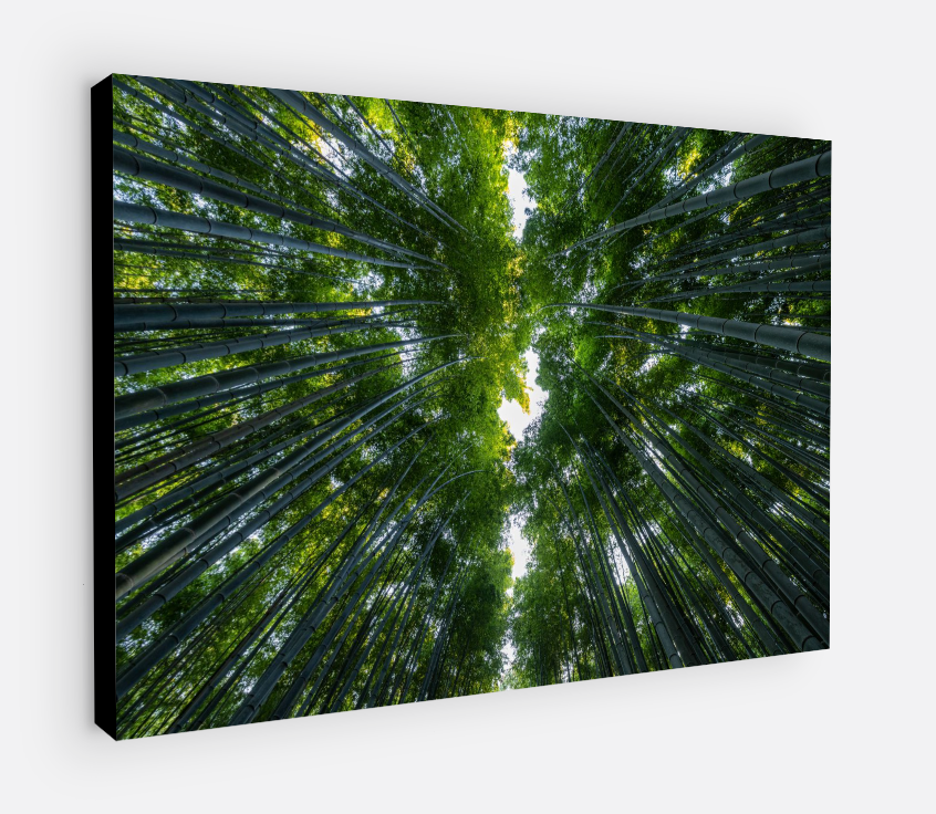 Printed canvas · High quality · Japan · Bamboos · Wall art