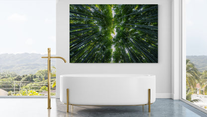 Printed canvas · High quality · Japan · Bamboos · Wall art