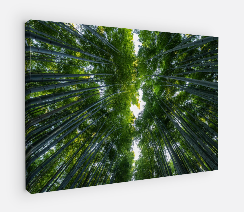 Printed canvas · High quality · Japan · Bamboos · Wall art