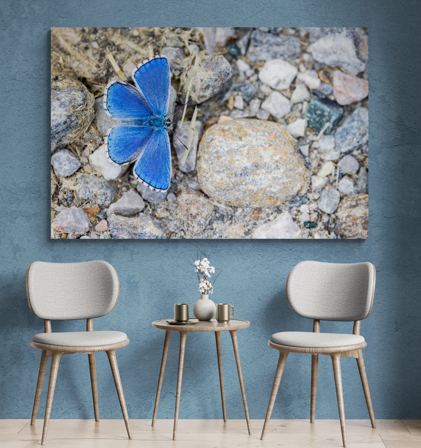 Printed canvas · High quality · Blue butterfly · Wall art