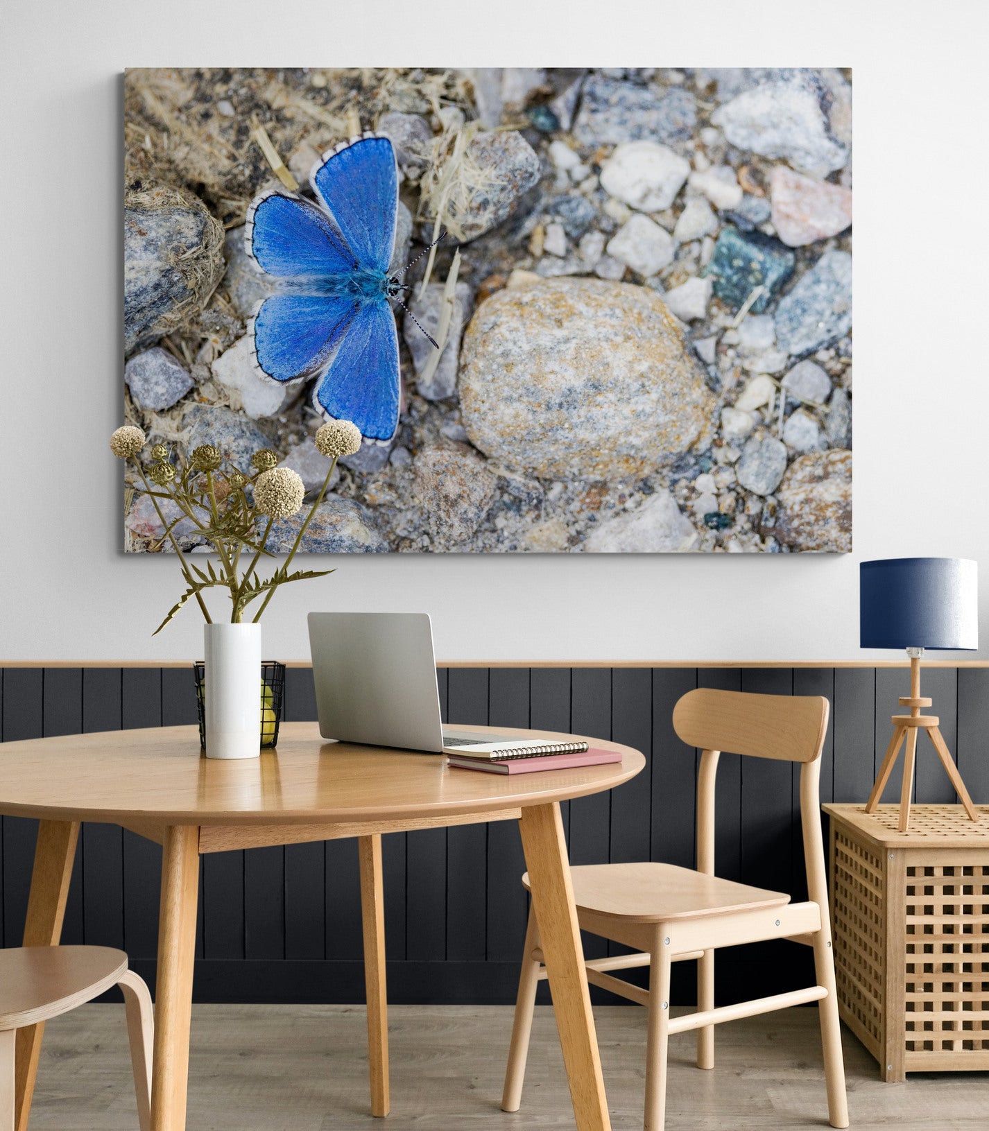 Printed canvas · High quality · Blue butterfly · Wall art