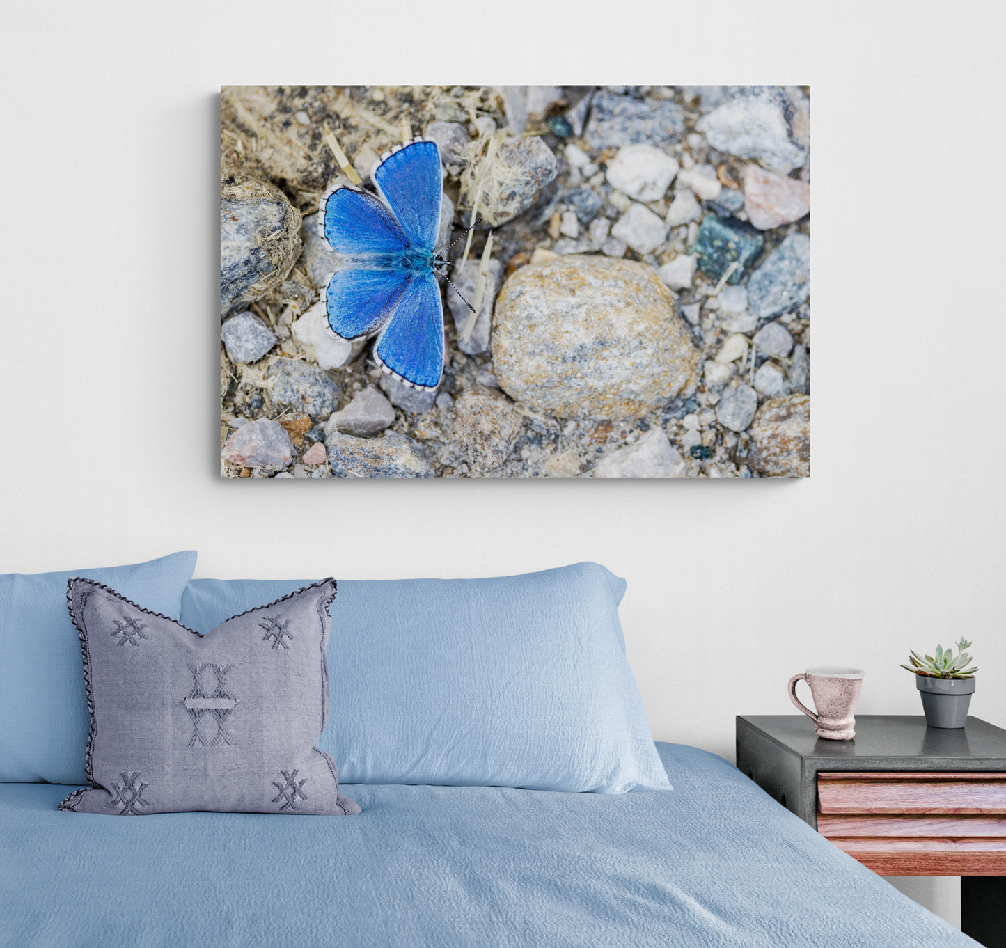 Printed canvas · High quality · Blue butterfly · Wall art