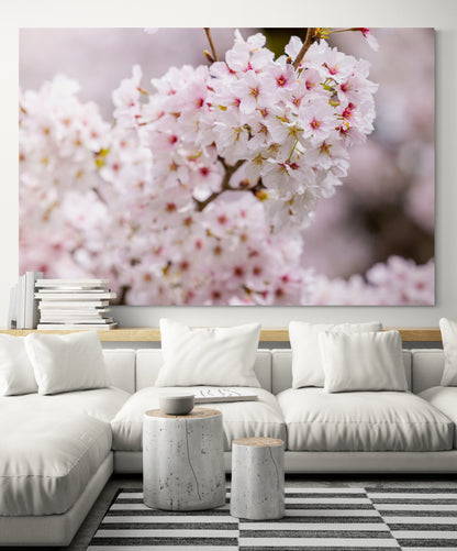 Printed canvas · High quality · Pink Japanese cherry tree · Wall art