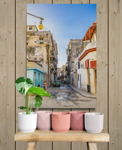 Vertical printed canvas · High quality · Cuba · Wall art