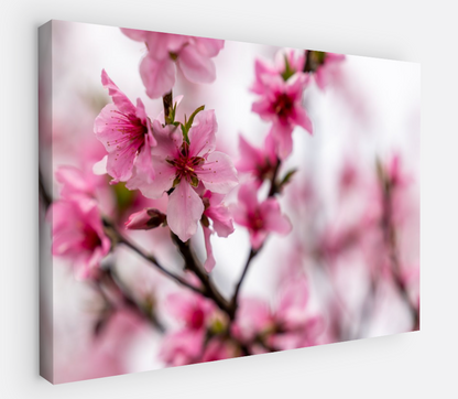 Printed canvas · High quality · Japanese flowers · Wall art