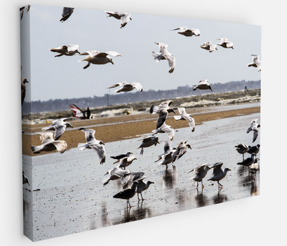 Printed canvas · High quality · Flying seagulls on the square · Wall art