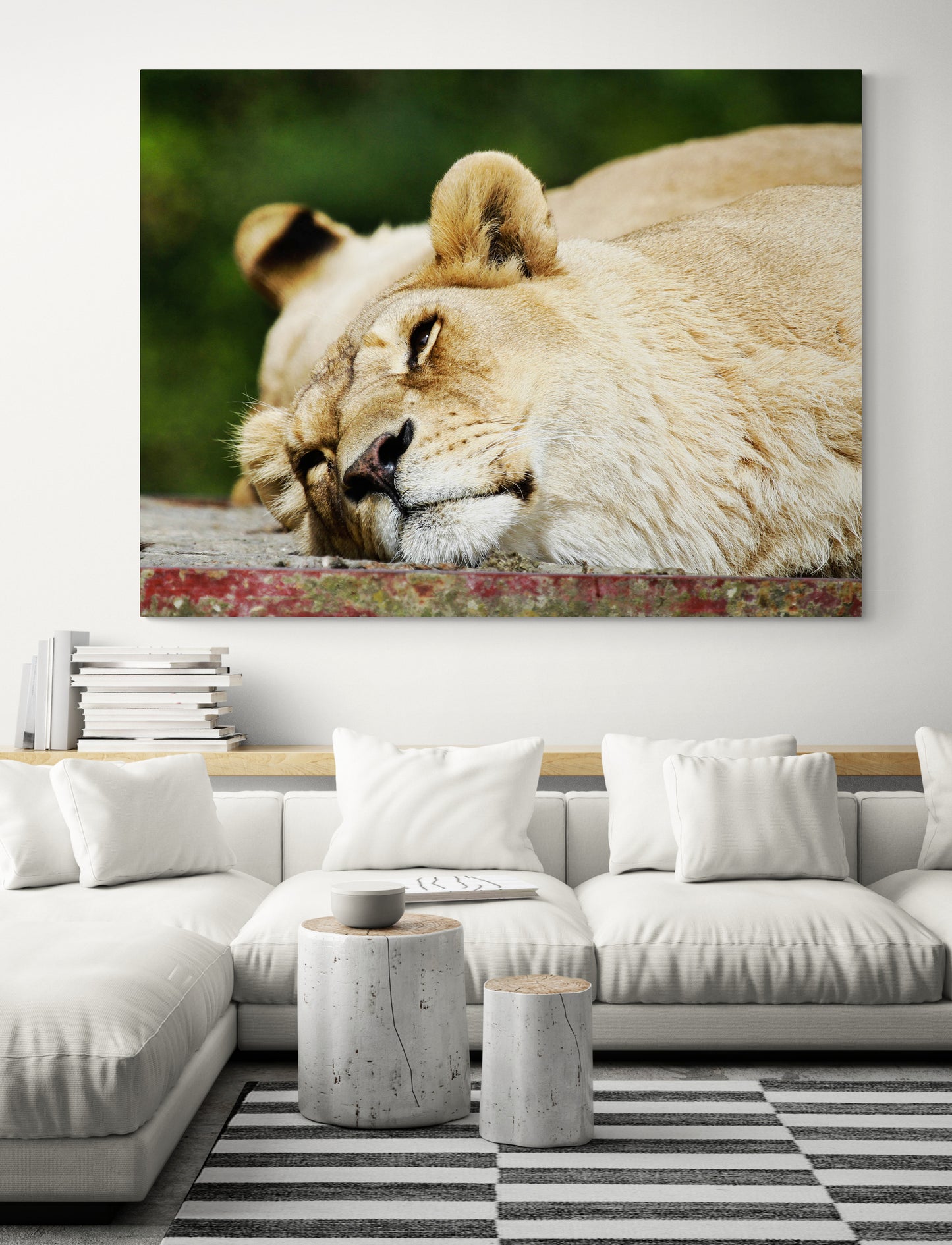 Printed canvas · High quality · Lioness · Wall art