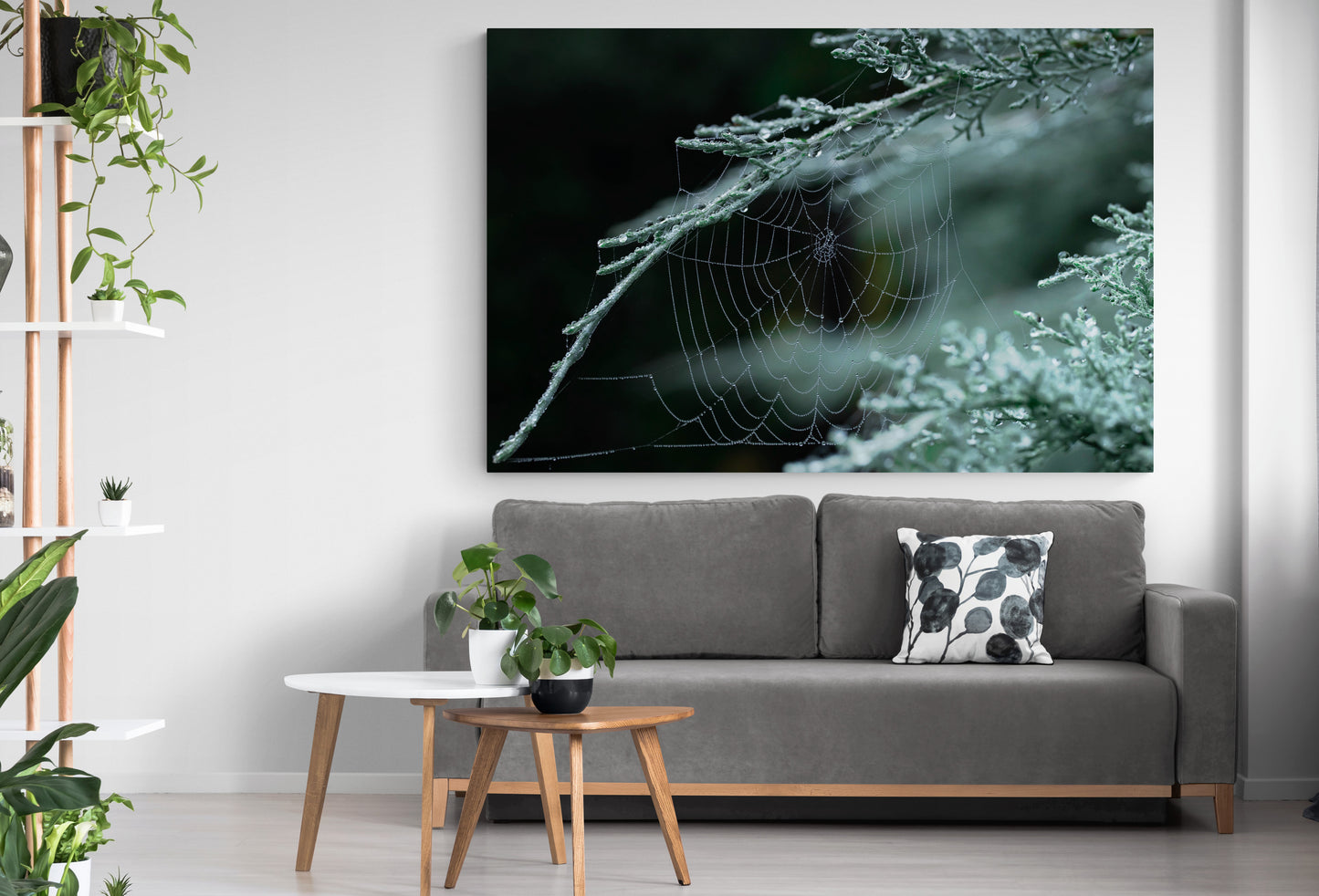 Printed canvas · High quality · Spider web · Forest · Wall art