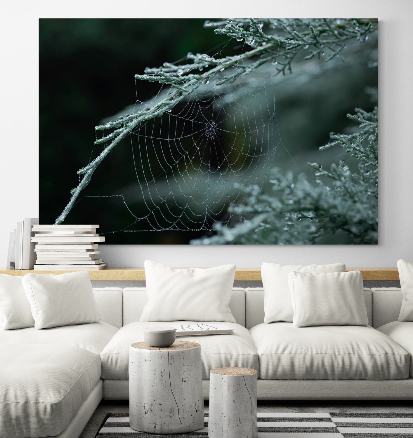 Printed canvas · High quality · Spider web · Forest · Wall art