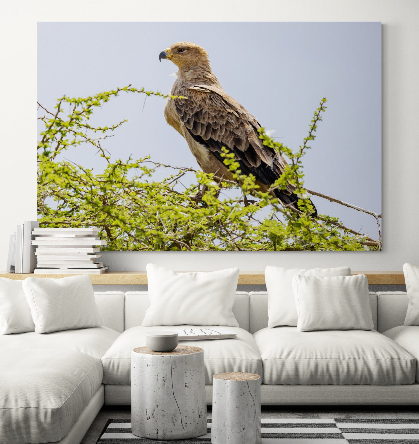 Printed canvas · High quality · Raptor · Africa · Wall art