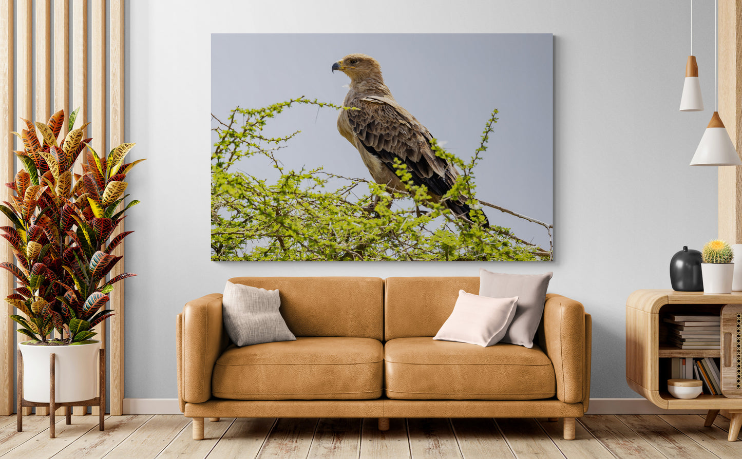 Printed canvas · High quality · Raptor · Africa · Wall art