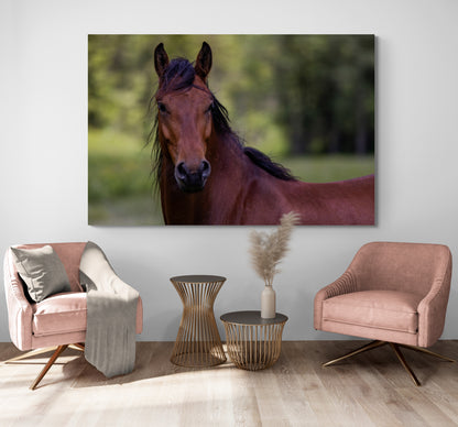 Printed canvas · High quality · Brown horse · Wall art