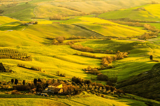 Printed canvas · High quality · Fields Tuscany Italy · Wall art