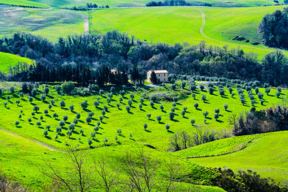 Printed canvas · High quality · Tuscany · Wall art