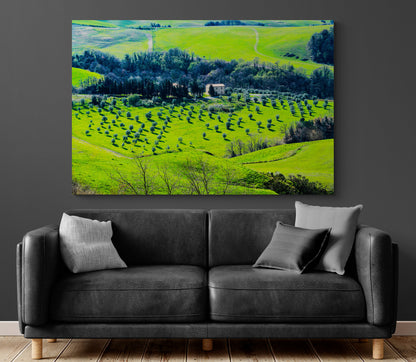 Printed canvas · High quality · Tuscany · Wall art