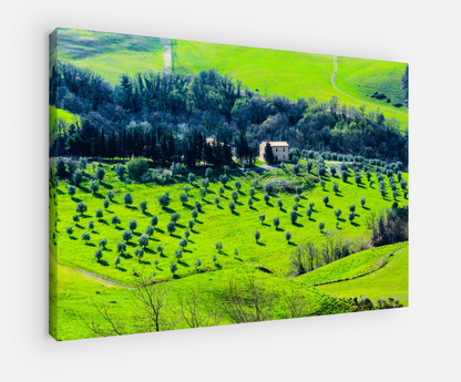 Printed canvas · High quality · Tuscany · Wall art