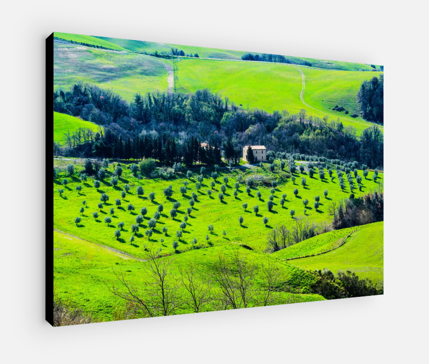 Printed canvas · High quality · Tuscany · Wall art