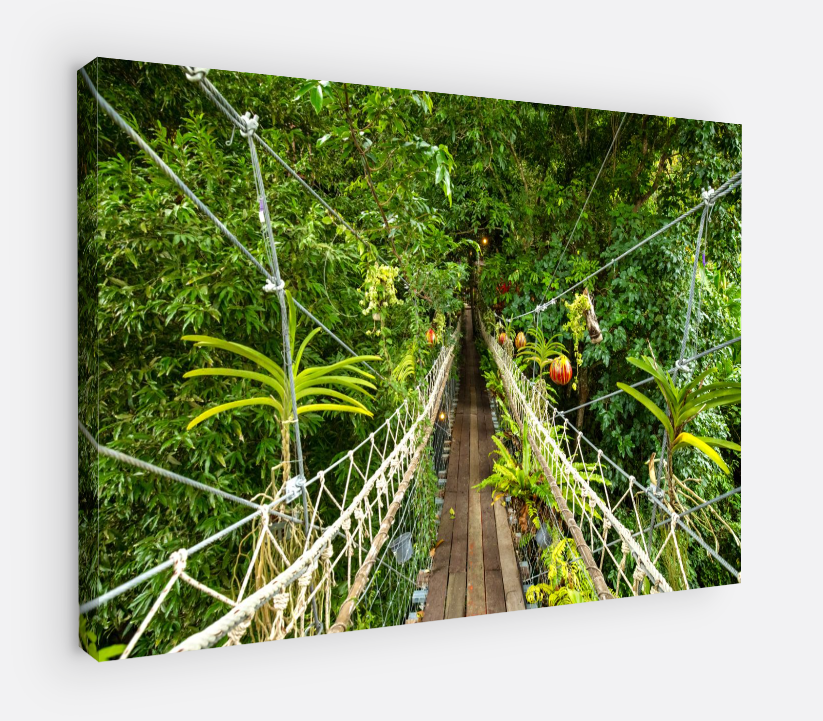 Printed canvas · High quality · Asian jungle · Wall art