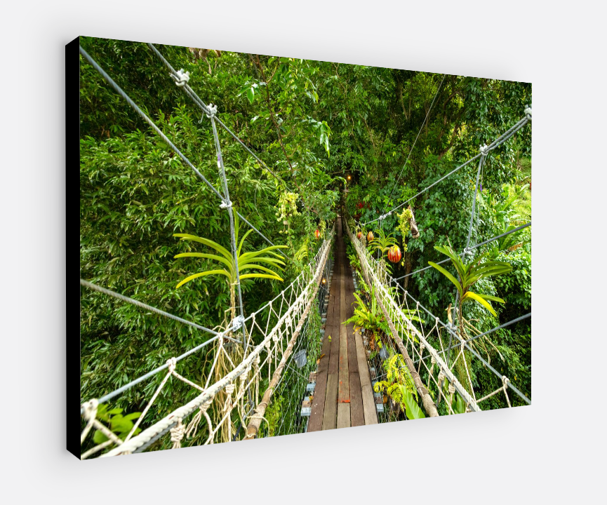 Printed canvas · High quality · Asian jungle · Wall art