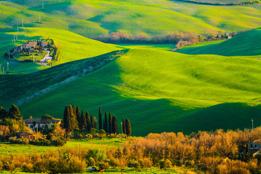 Printed canvas · High quality · Fields Italy Tuscany · Wall art