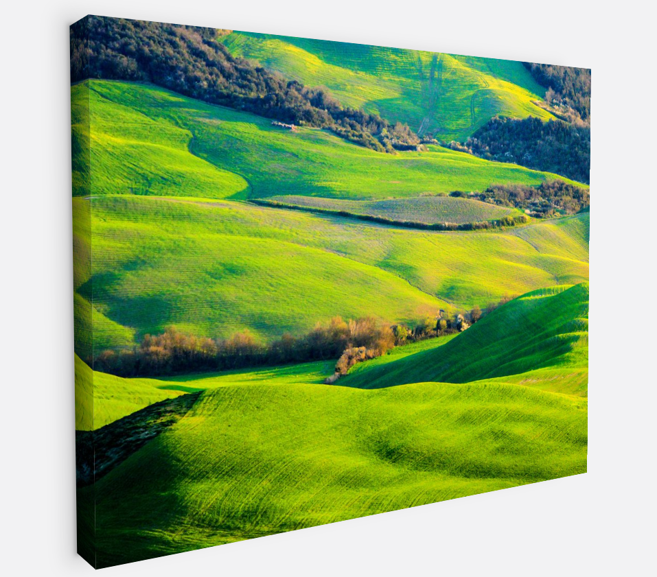 Printed canvas · High quality · Fields Italy Tuscany · Wall art