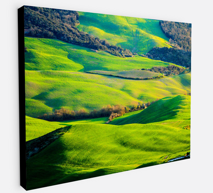 Printed canvas · High quality · Fields Italy Tuscany · Wall art