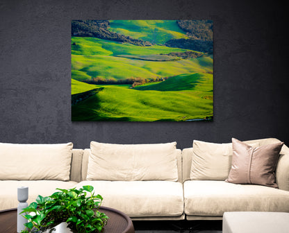 Printed canvas · High quality · Fields Italy Tuscany · Wall art