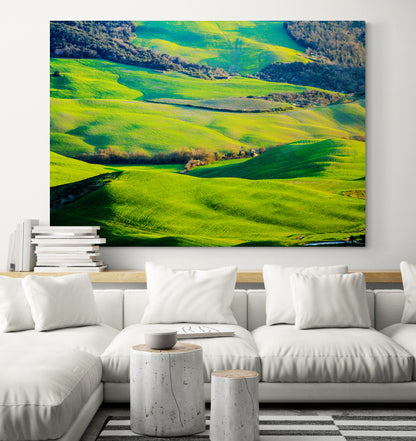 Printed canvas · High quality · Fields Italy Tuscany · Wall art