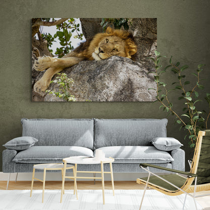 Printed canvas · High quality · Lion · Africa · Wall art