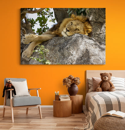 Printed canvas · High quality · Lion · Africa · Wall art