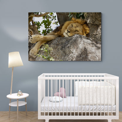 Printed canvas · High quality · Lion · Africa · Wall art