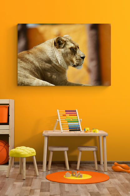 Printed canvas · High quality · Lion · Wall art