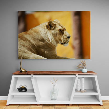 Printed canvas · High quality · Lion · Wall art