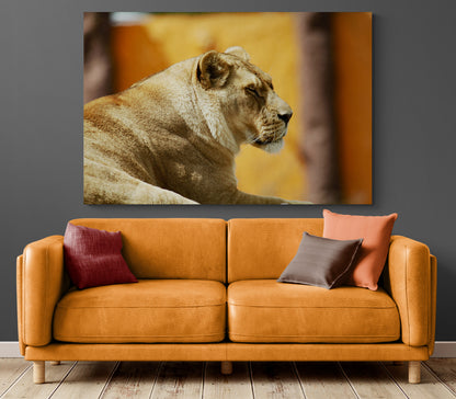 Printed canvas · High quality · Lion · Wall art